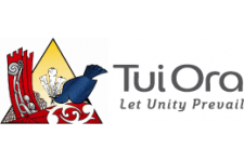 Photo of Tui Ora Youth Service Photo of Tui Ora Youth Service