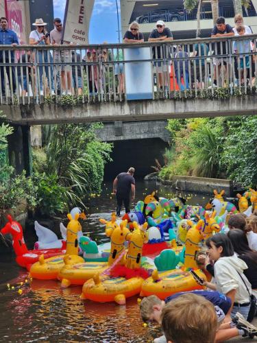 Racing through the Huatoki Stream