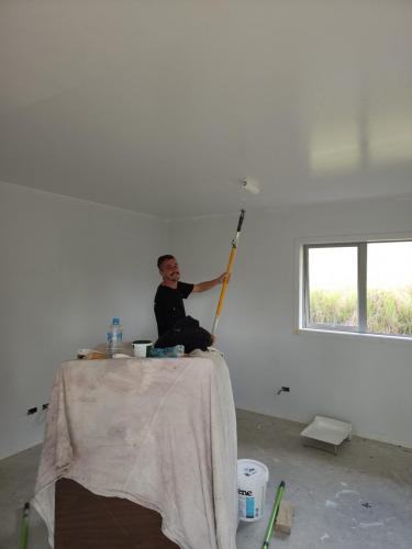 Painting the interior