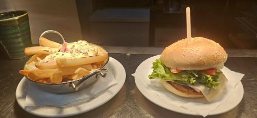 Burger + loaded fries