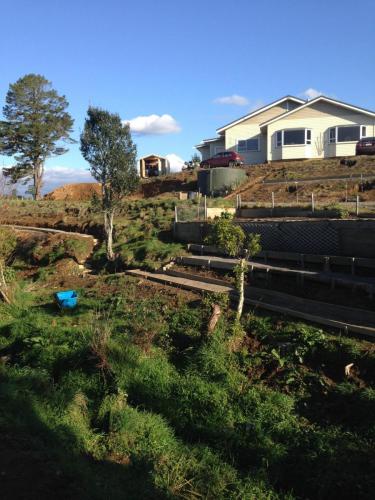 Greening up the place