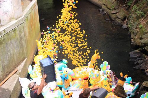 Releasing all of the ducks