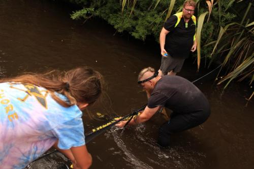 Retrieving the successful swimmers