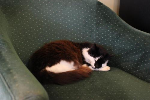 Vibes at Taranaki Retreat