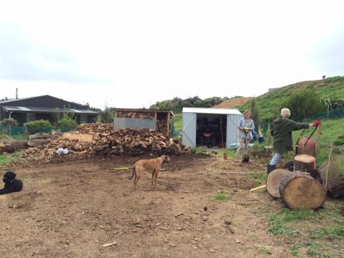 Shoring up our woodstores