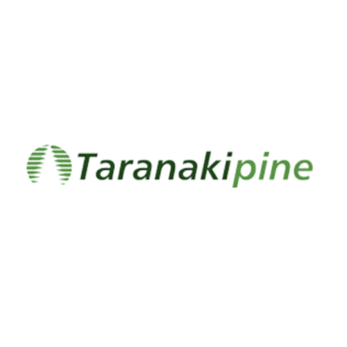 Taranaki Pine